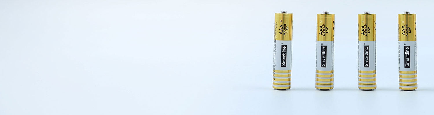 Alkaline Batteries