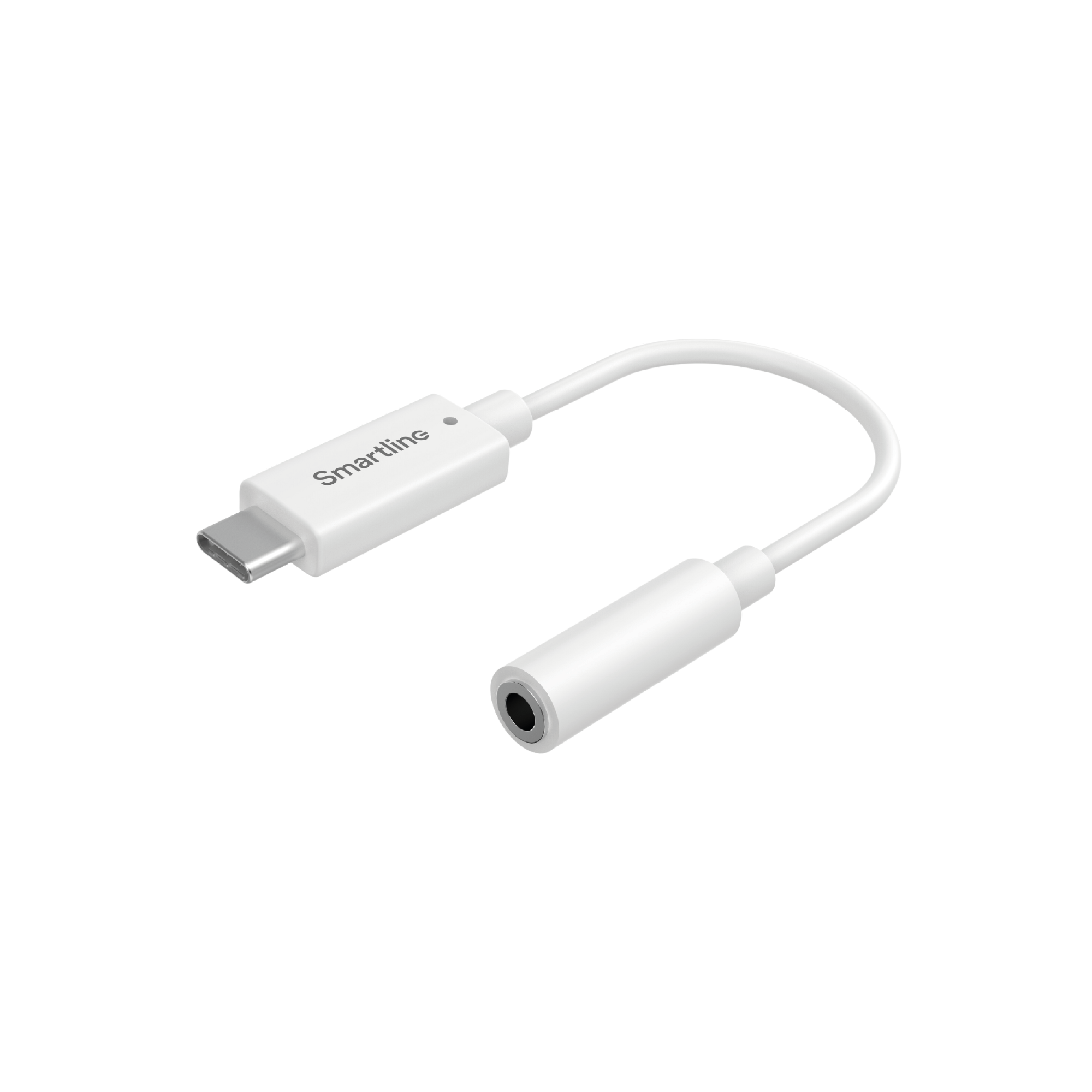 USB C till 3,5 mm ljudadapter